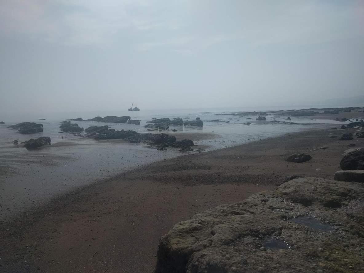Seaside Guest House A Stone'S Throw From The Beach داوليش المظهر الخارجي الصورة